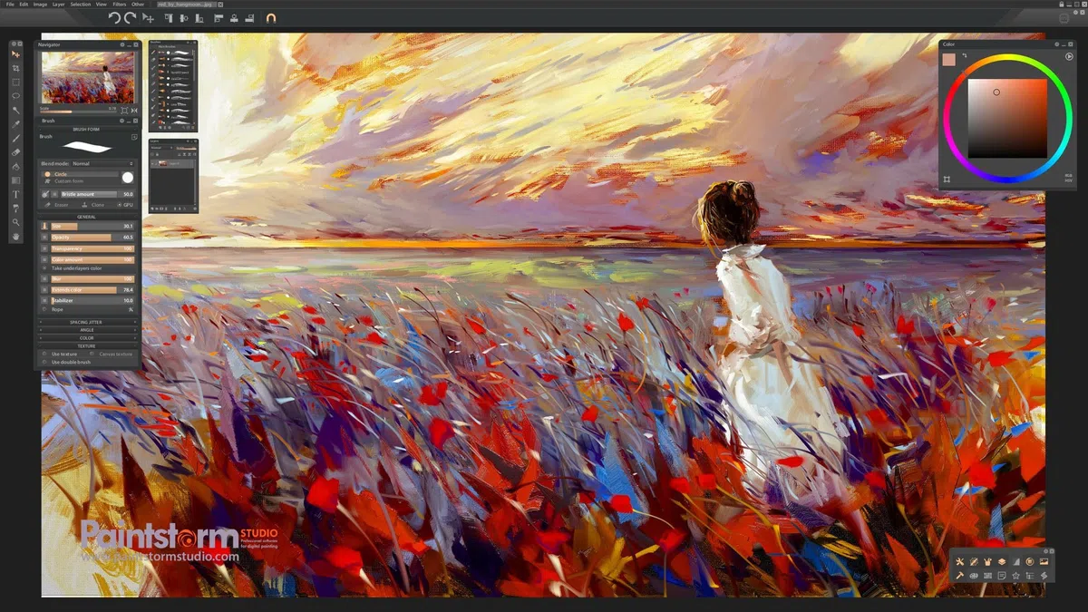 Paintstorm Studio - Logiciel de peinture numérique - Licence perpétuelle - pour Windows et MacOS