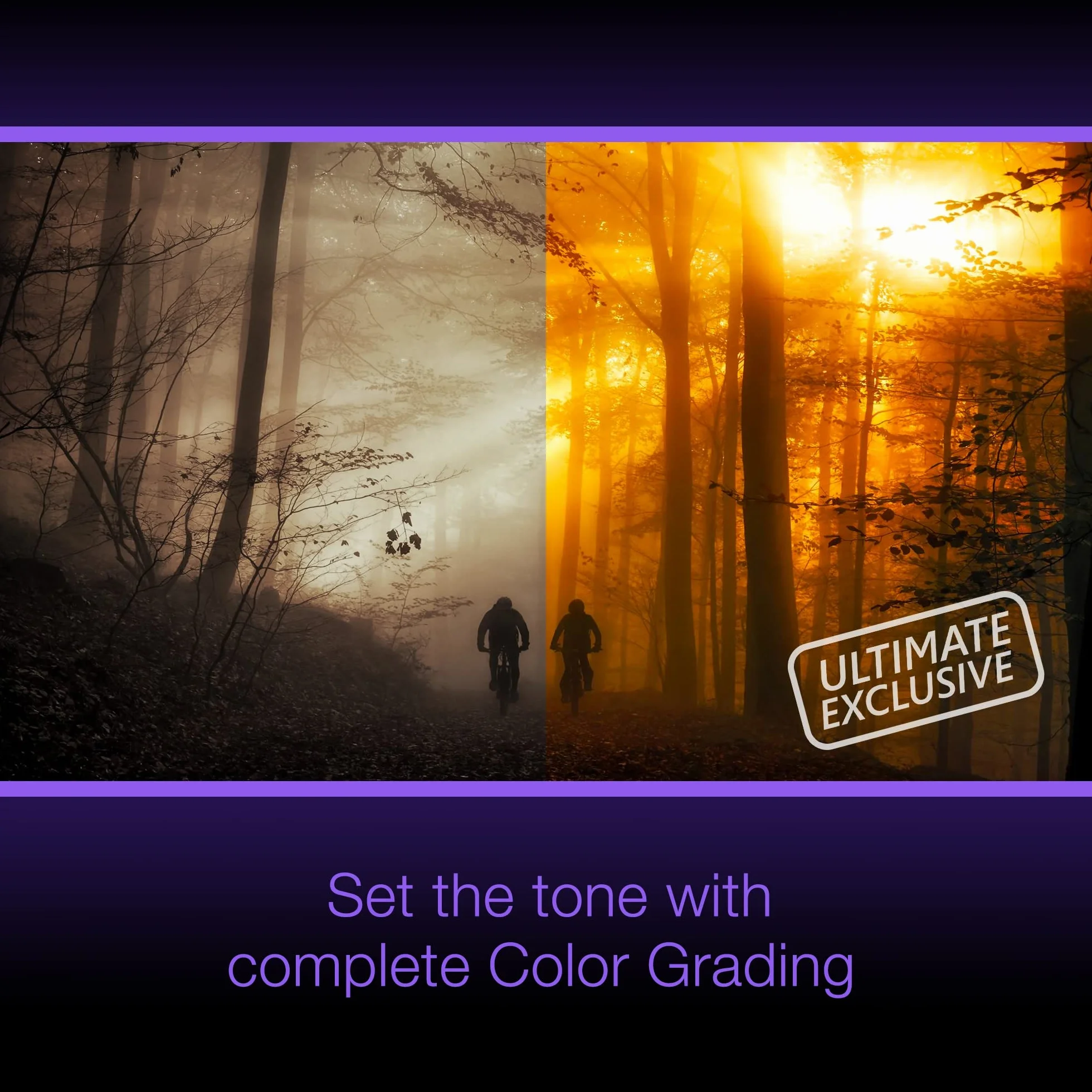 Corel Pinnacle Studio 26 Ultimate, Logiciel de Montage Vidéo, Téléchargement
