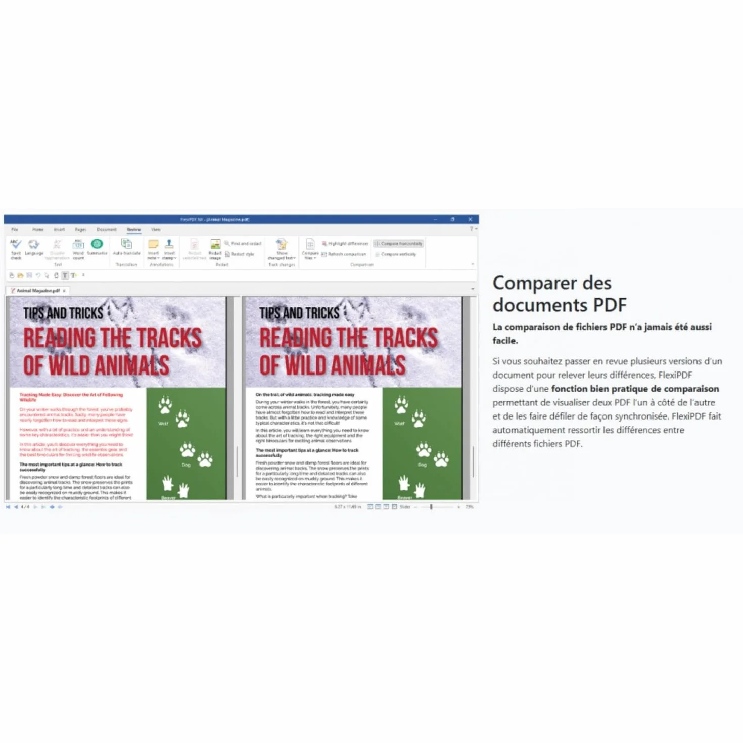 FlexiPDF Professional 2025 - Éditeur PDF Complet - Licence Perpétuelle 3 PC - Version DVD