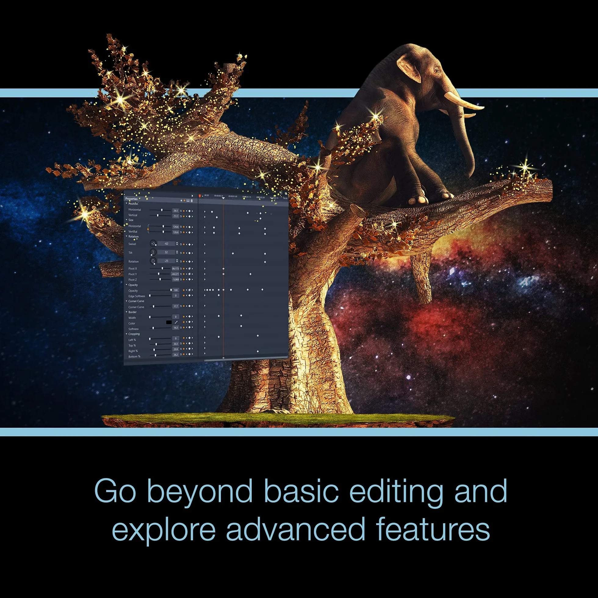 Pinnacle Studio 25 Plus Logiciel de montage vidéo et enregistrement d'écran 1 Appareil Win DVD