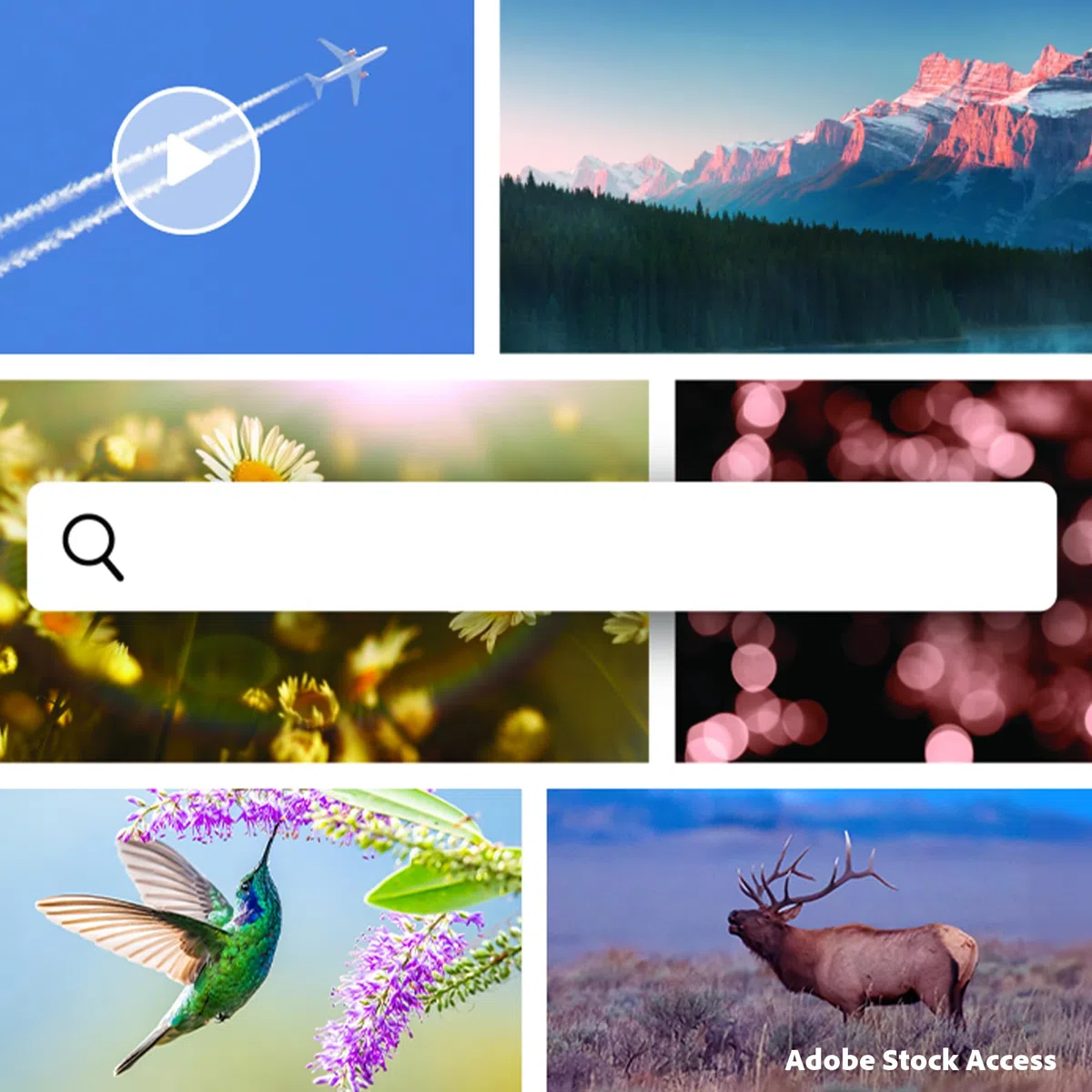 Adobe Photoshop Elements 2026 & Premiere Elements 2026 |Licence 3 ans| 1 appareil |1 Usager|PC/Mac|Téléchargement