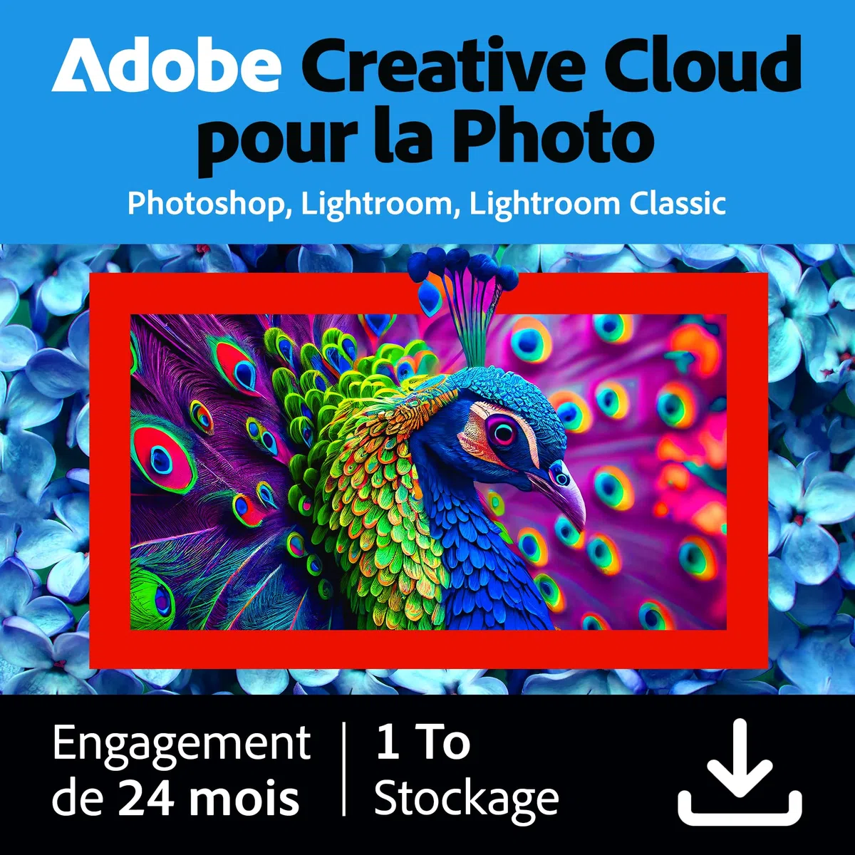 Adobe Creative Cloud Formule Photo 1 To, incluant Lightroom et Photoshop, éditeur photo assisté par IA | 12+12 mois exclusivité Amazon | Code d'activation - envoi par email