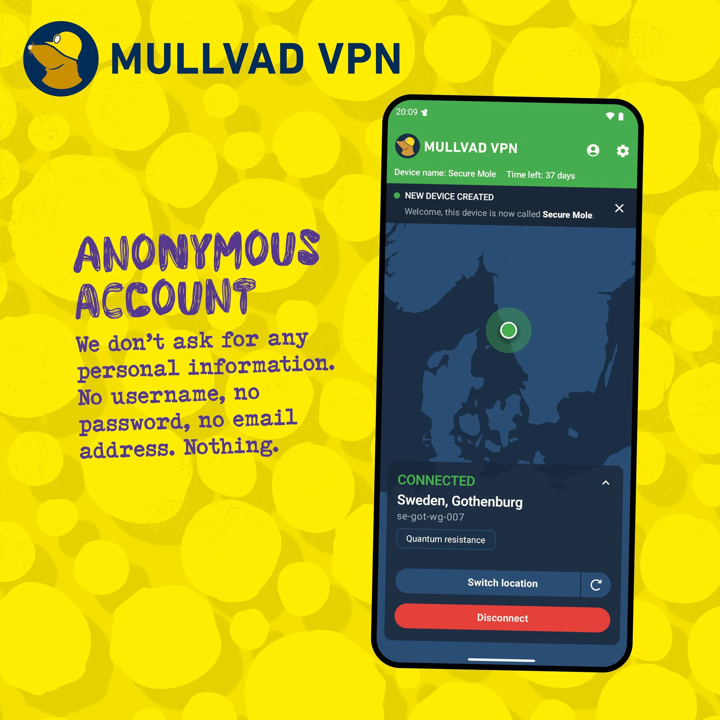 Mullvad VPN 12 Mois 5 Appareils Service sans journalisation Protégez votre vie privée