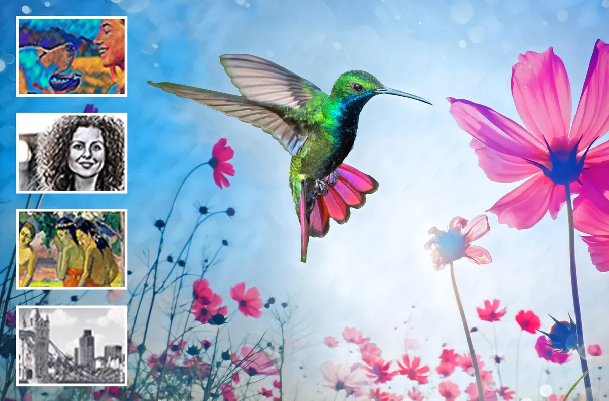 Adobe Photoshop Elements 2024 | 1 Device | PC/Mac | Box Including Activation Code