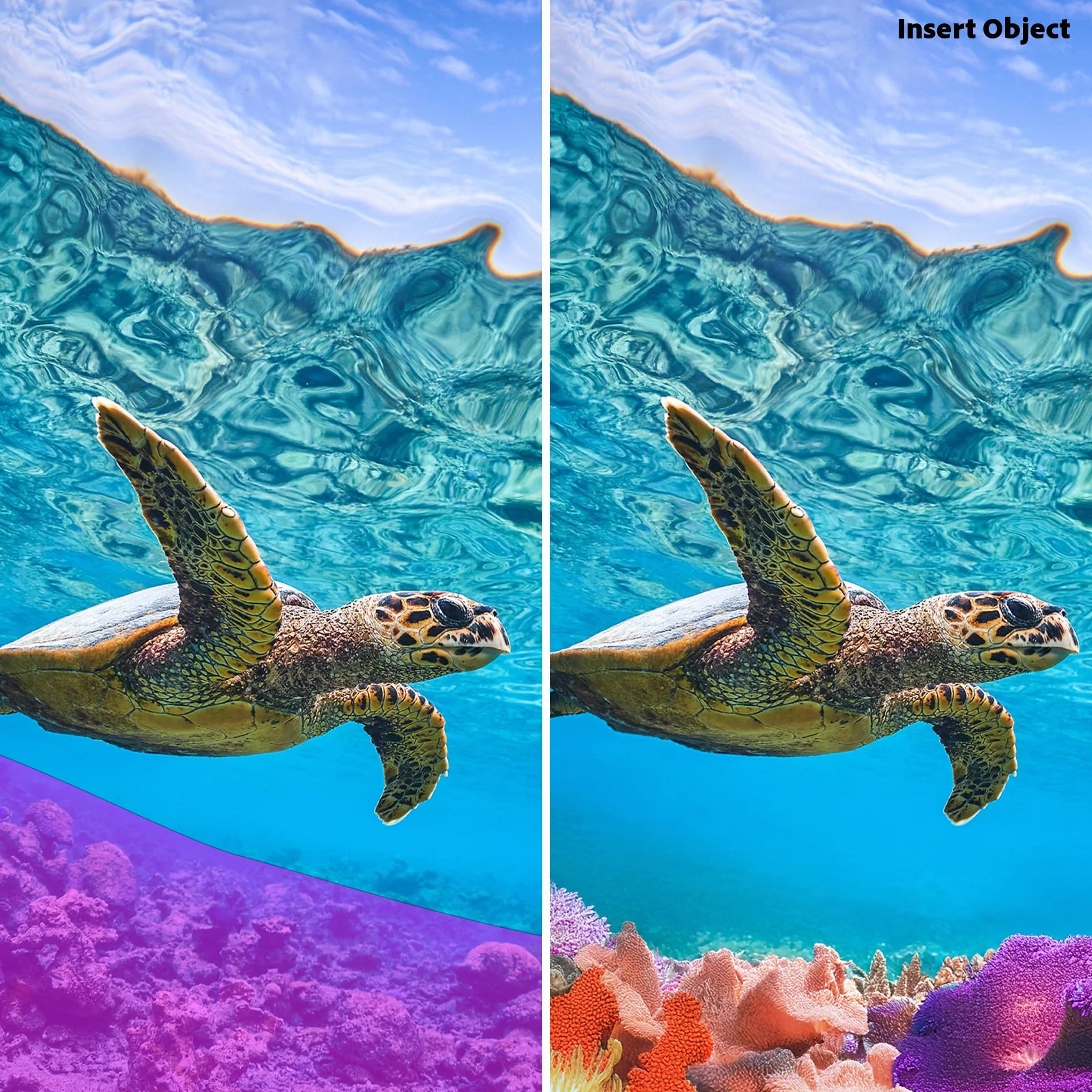 Adobe Photoshop Elements 2026 Licence 3 ans 1 appareil PC Mac Téléchargement