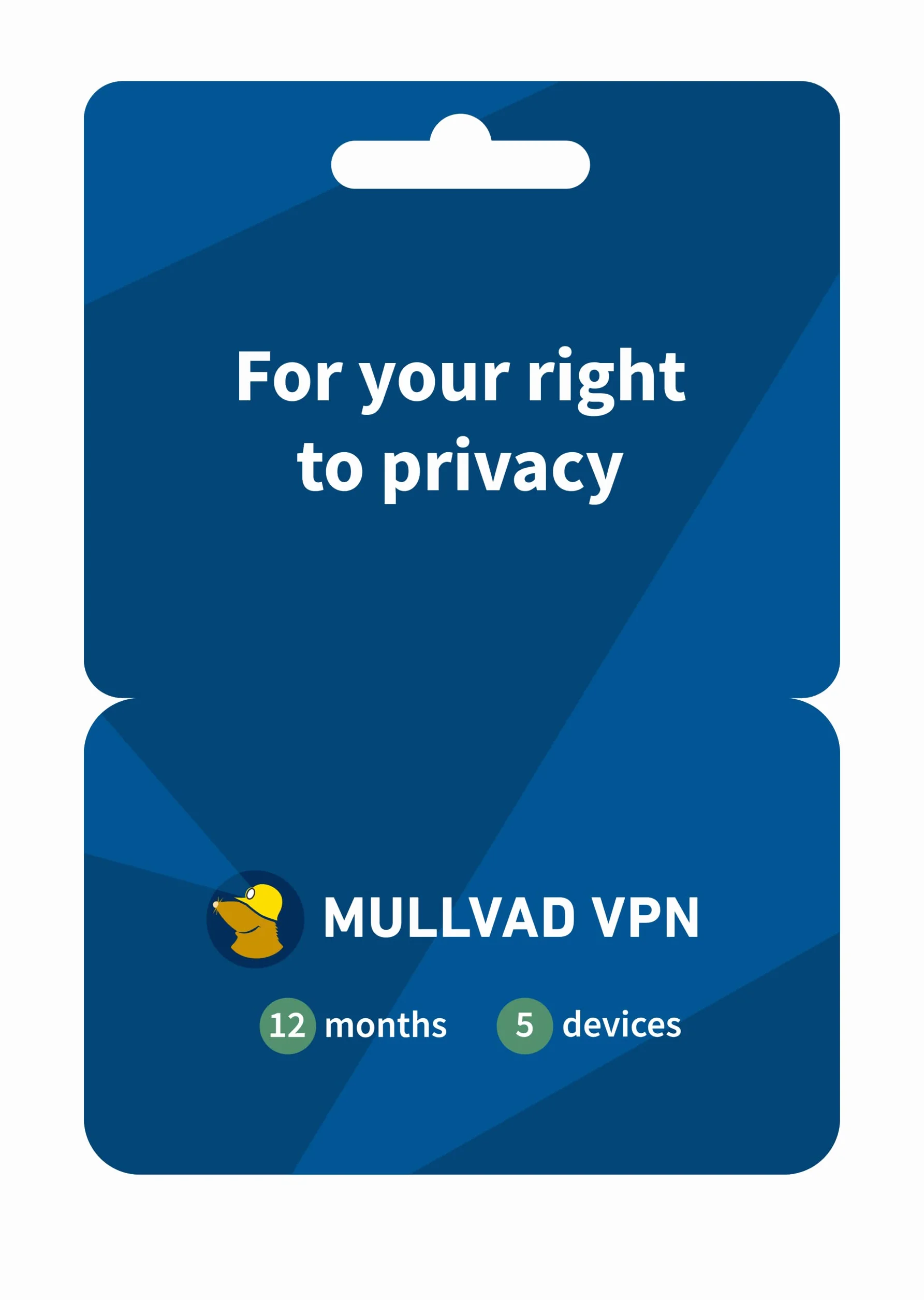 Mullvad VPN 12 Mois 5 Appareils Service sans journalisation Protégez votre vie privée