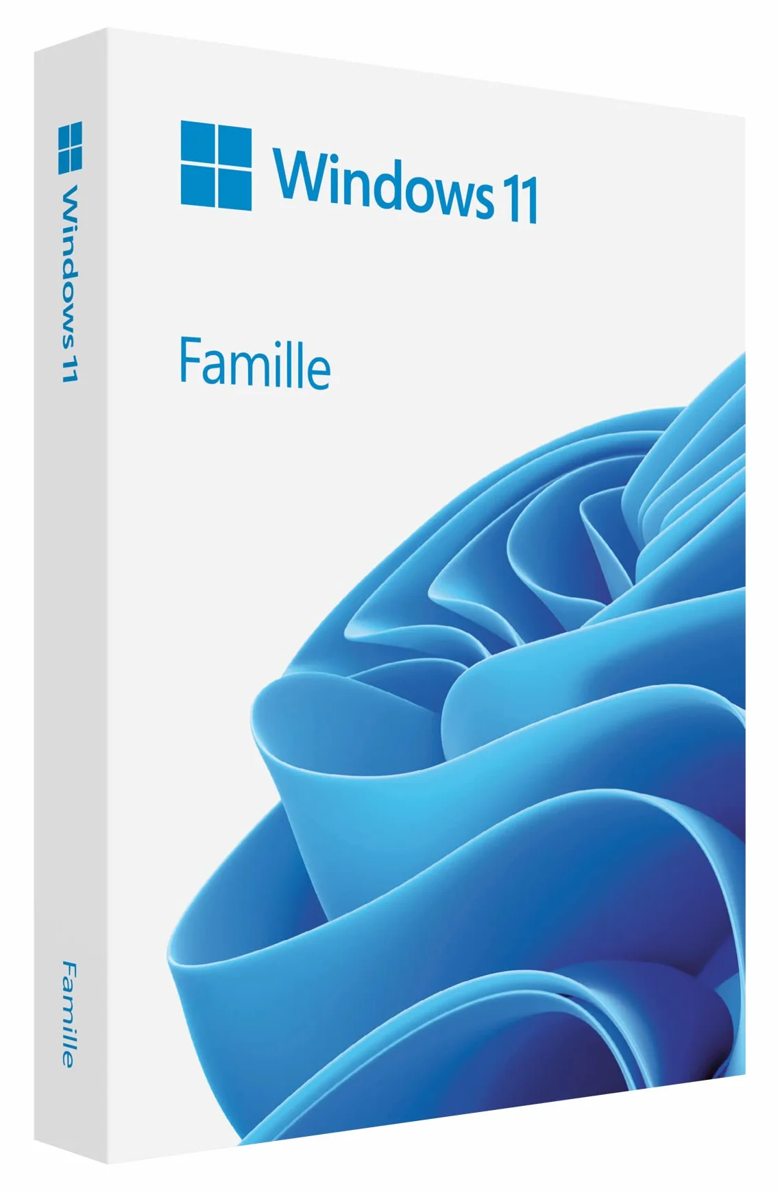 Microsoft Windows 11 Famille 64-bit Français USB