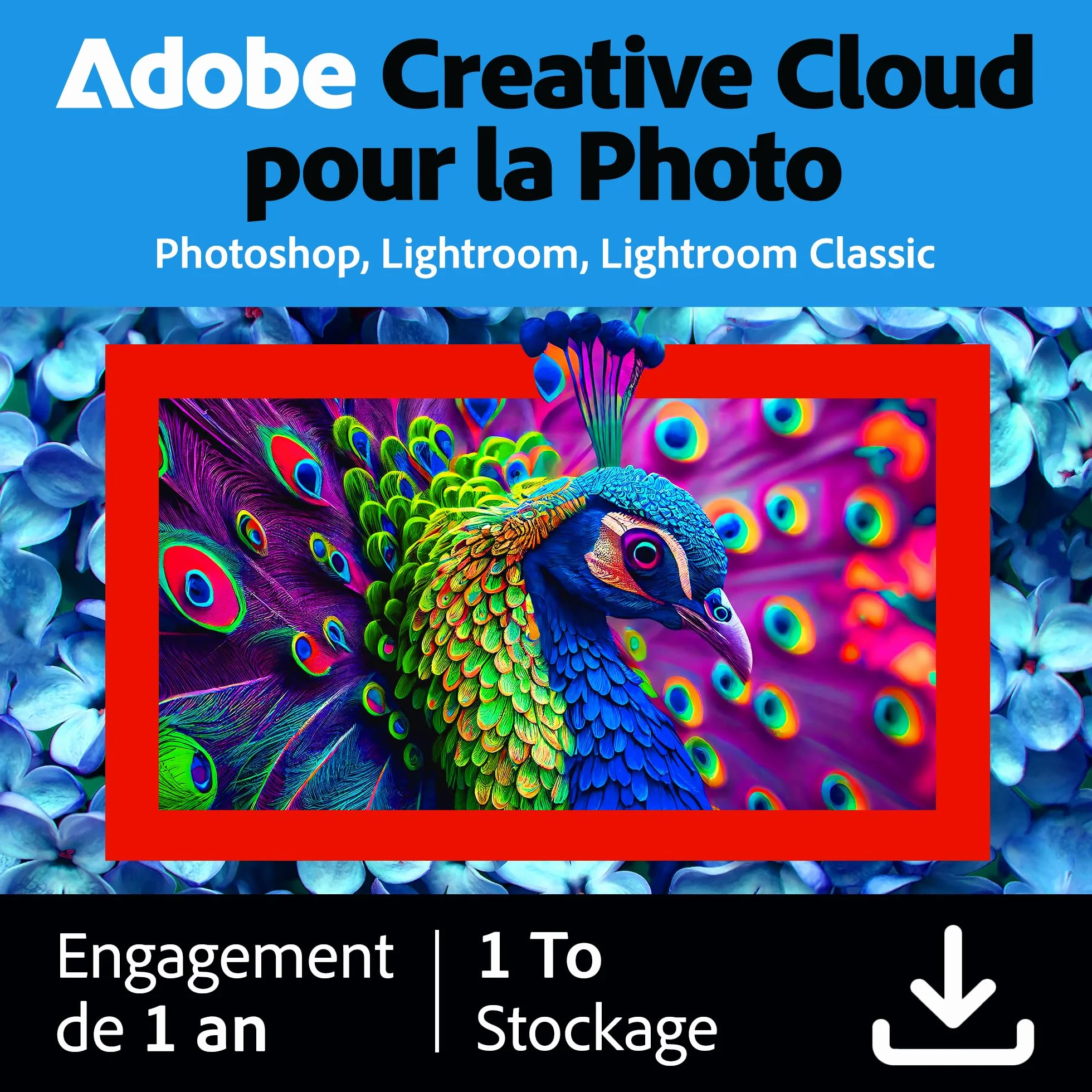 Adobe Creative Cloud 1TB Photoshop Lightroom 1 an PC Mac Téléchargement