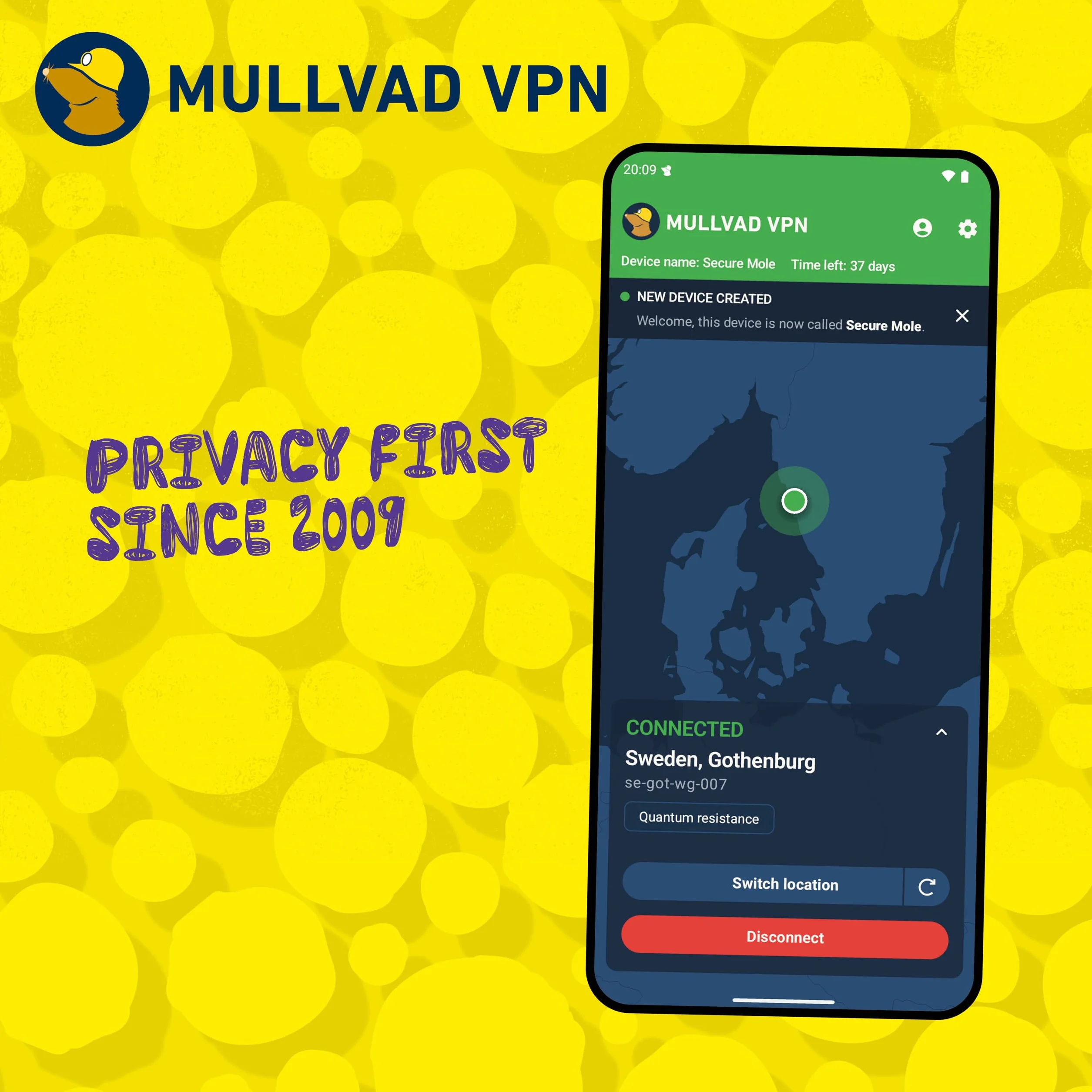 Mullvad VPN 12 Mois 5 Appareils Service sans journalisation Protégez votre vie privée