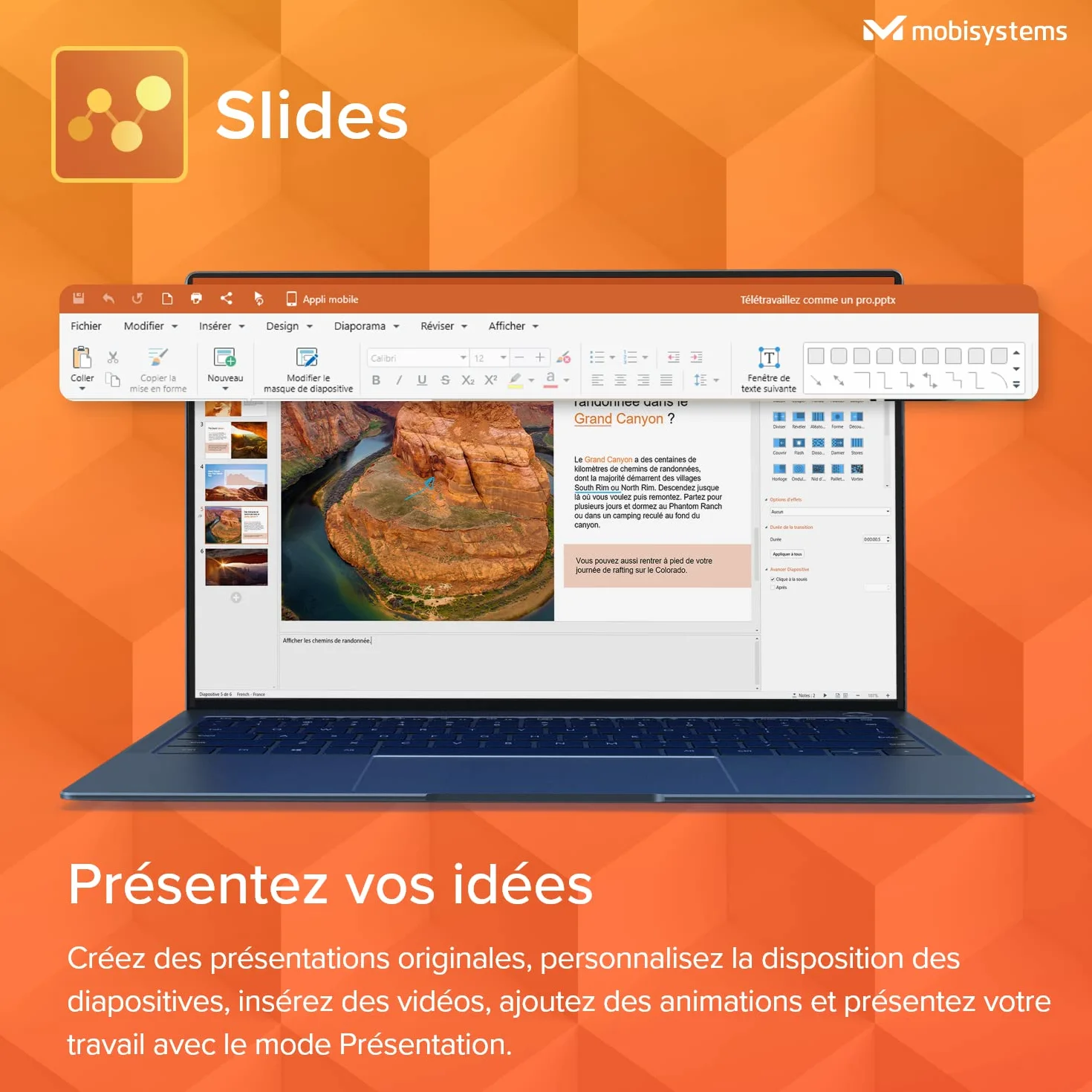 OfficeSuite Home & Business 5-en-1 Licence à vie 1 ordinateur Windows 1 utilisateur Code en ligne PC