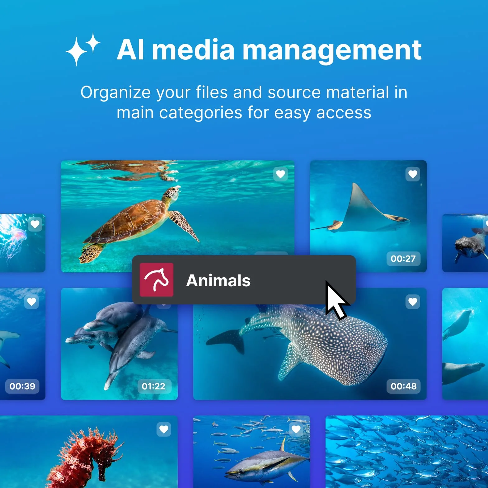MAGIX Video deluxe 2026 Premium: Logiciel de montage vidéo pour Windows 10/11 PC | 1 licence pour 2 appareils