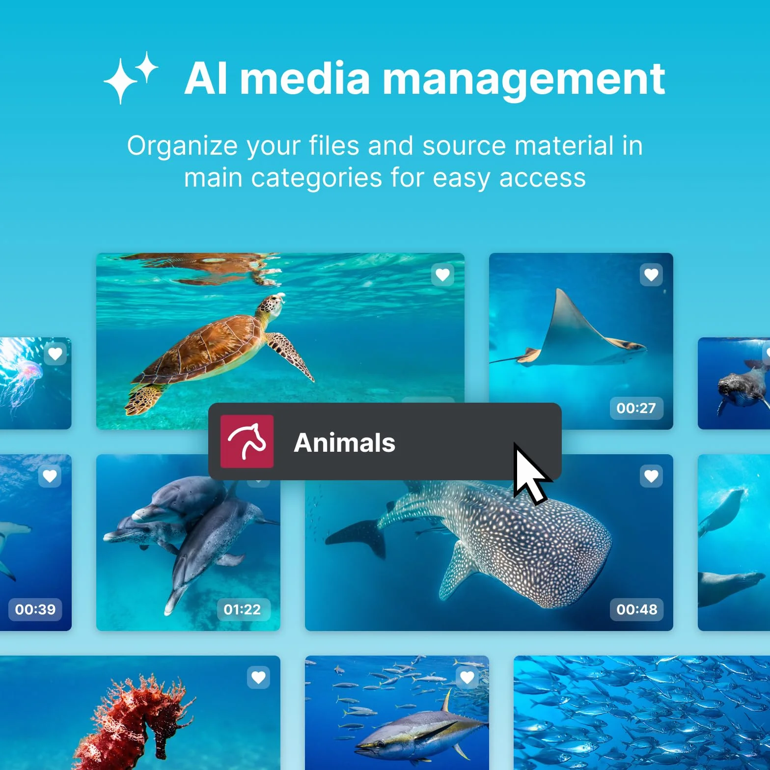 MAGIX Video deluxe 2026 Plus: Logiciel de montage vidéo pour Windows 10/11 PC | 1 licence pour 2 appareils