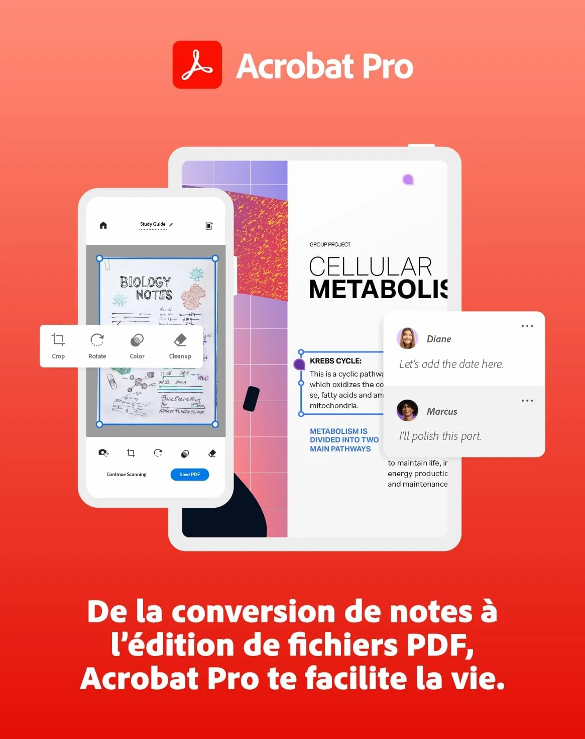 Adobe Creative Cloud Pro Étudiants/Enseignants Logiciel Créatif avec IA 1 an PC/Mac Téléchargement