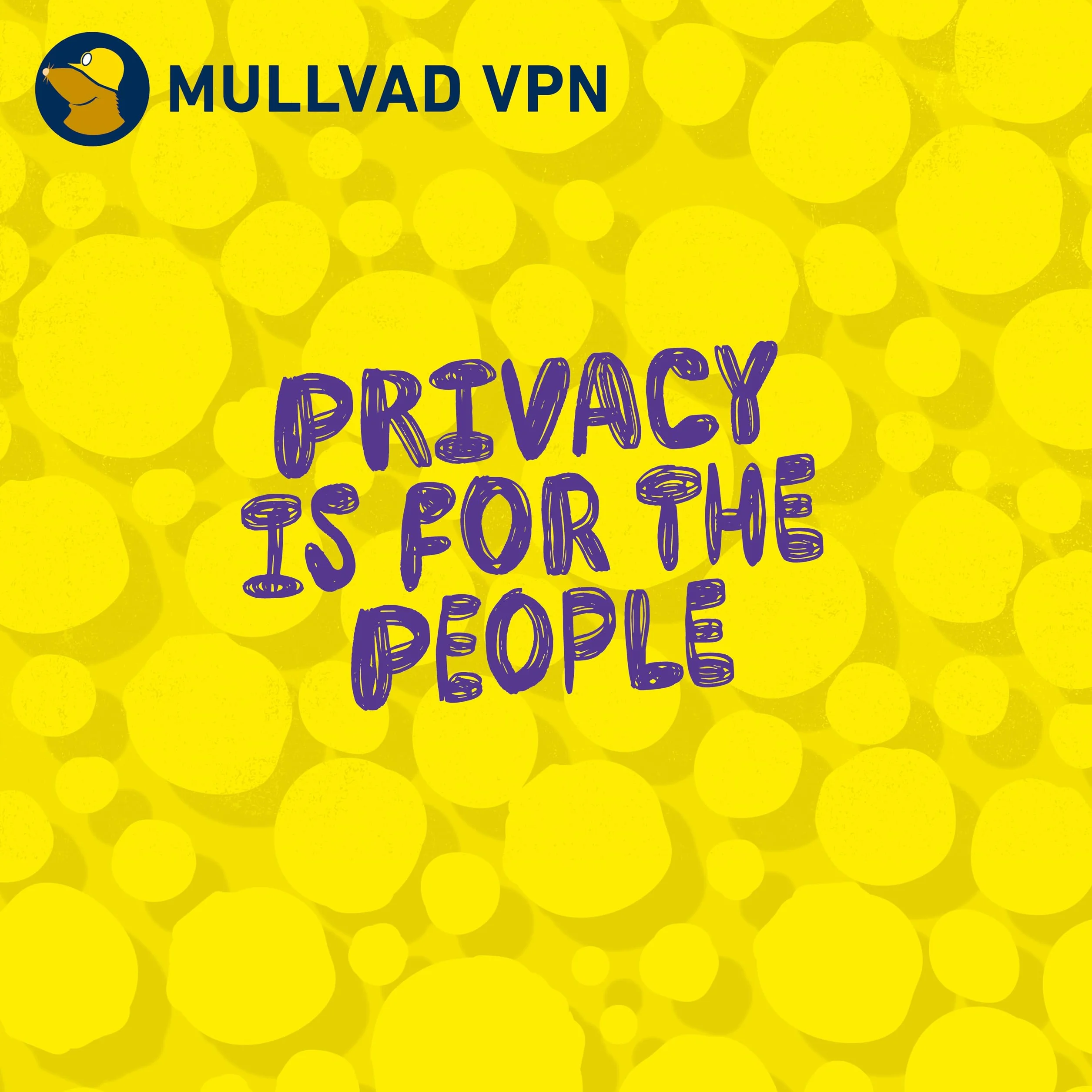 Mullvad VPN 12 Mois 5 Appareils Service sans journalisation Protégez votre vie privée