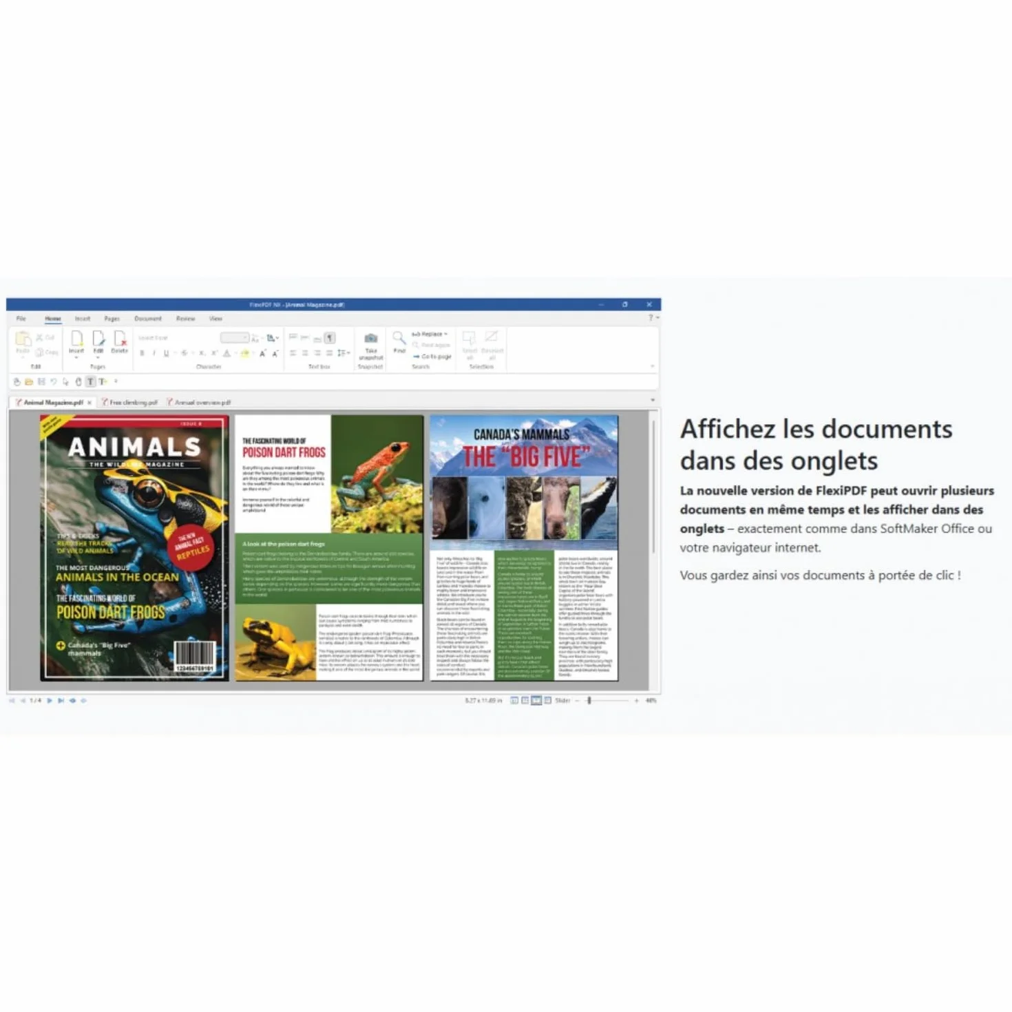 FlexiPDF Professional 2025 - Éditeur PDF Complet - Licence Perpétuelle 3 PC - Version DVD